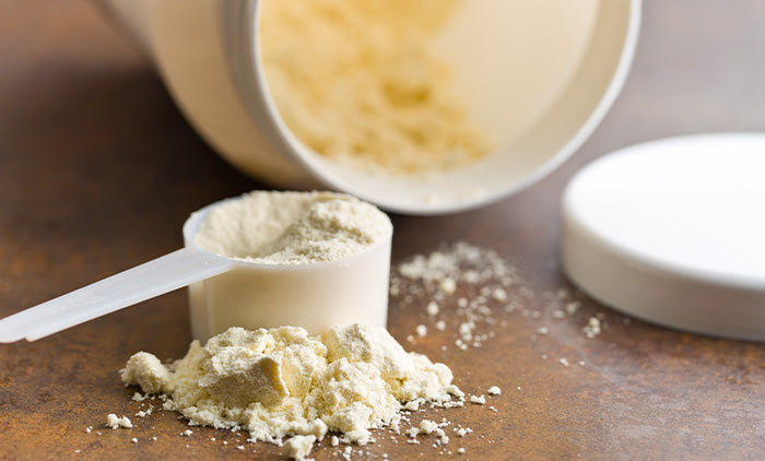 What is whey protein 